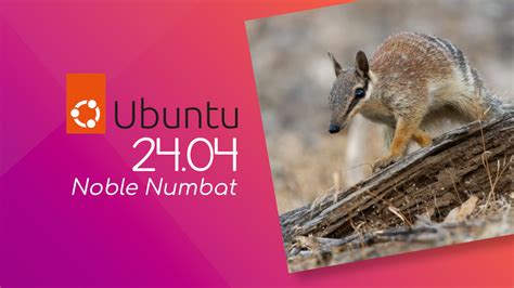 omgubuntu|ubuntu 24.04 what's new.